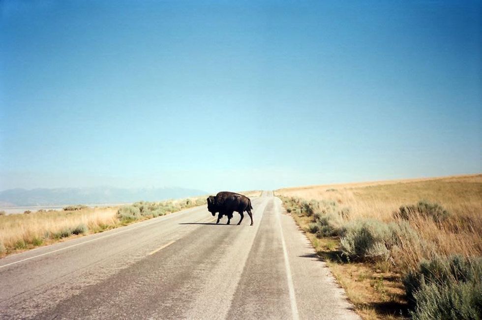 Austin Photo Set: News_jess_featured artist_april 2013_1