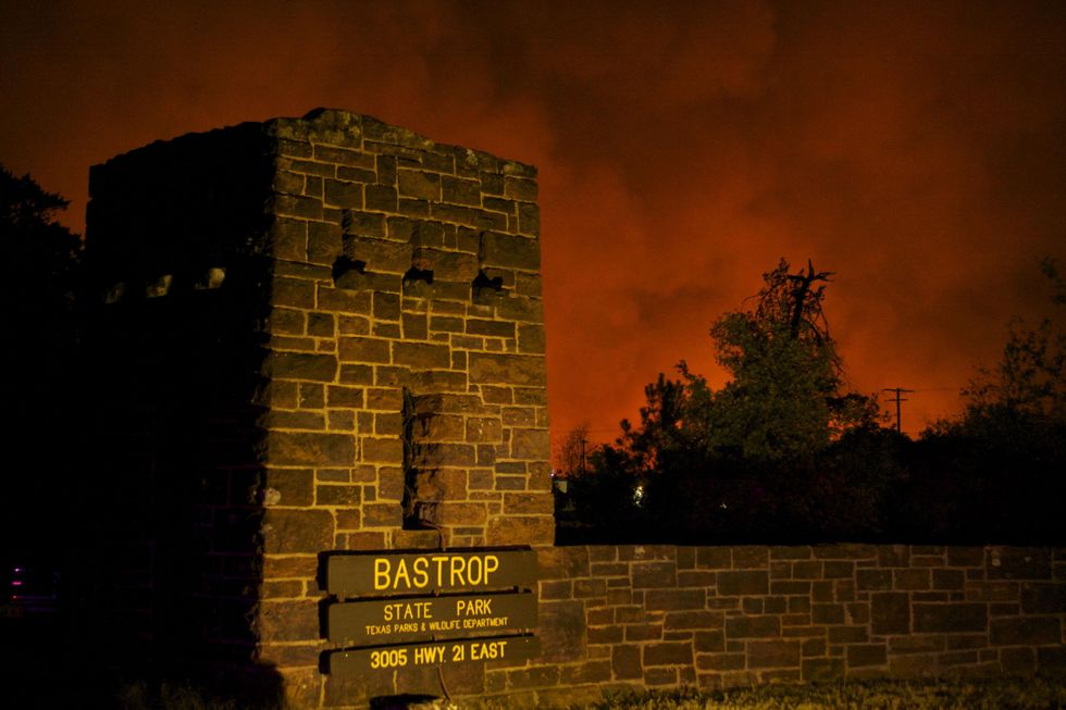Austin Photo Set: News_kevin_TPWD_houston toad_July 2012_bastrop fire