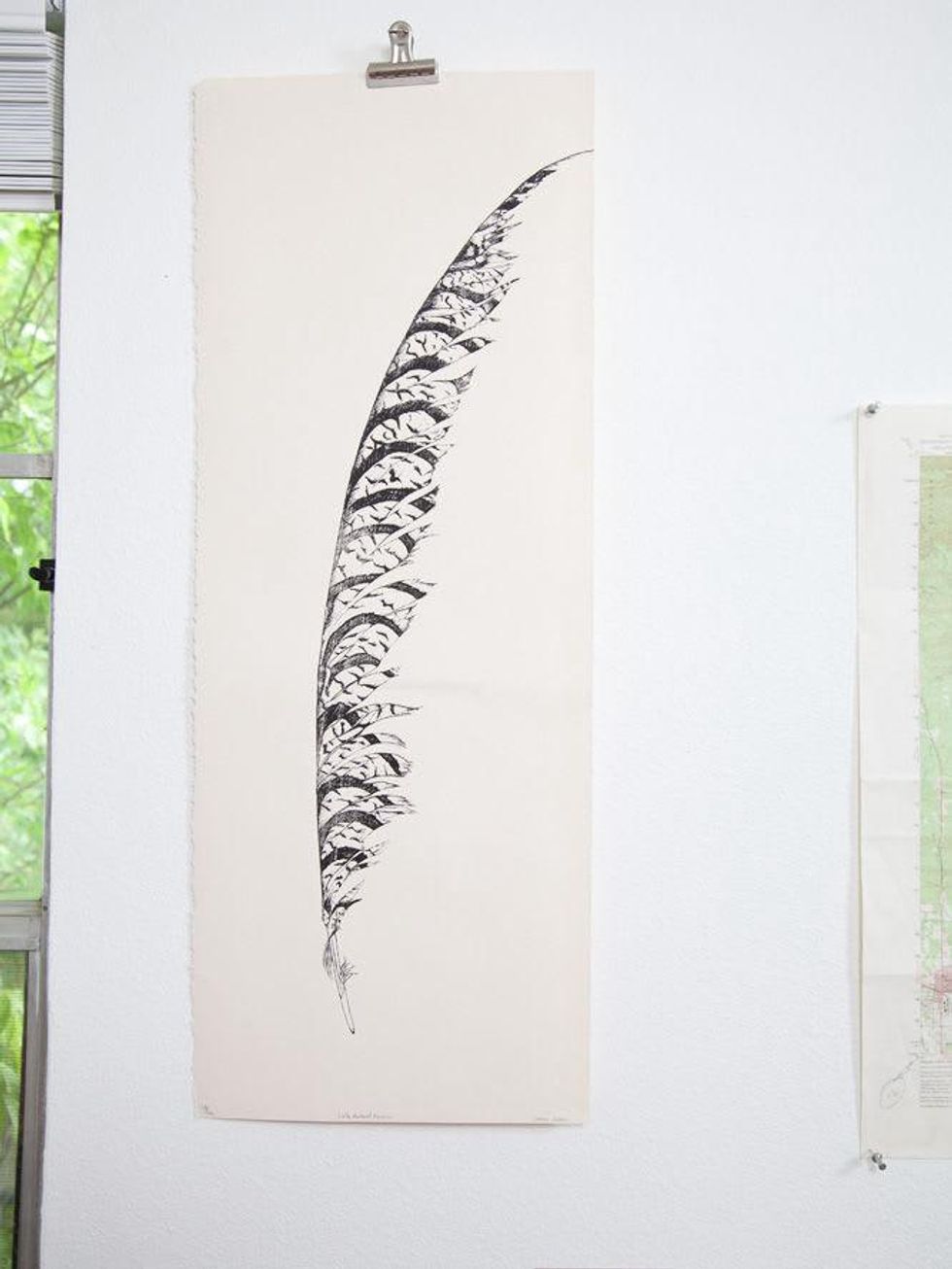 Austin Photo Set: News_Lauren Carlson_Canoe_July 2011_feather print