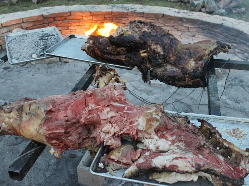 Austin Photo Set: News_Matt_live fire recap_april 2012_alamo cow