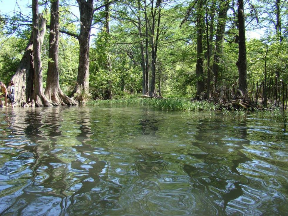Austin Photo Set: News_Peter Lewis_Swimming Holes_blue hole_wimberley_june 2011_manue reynolds