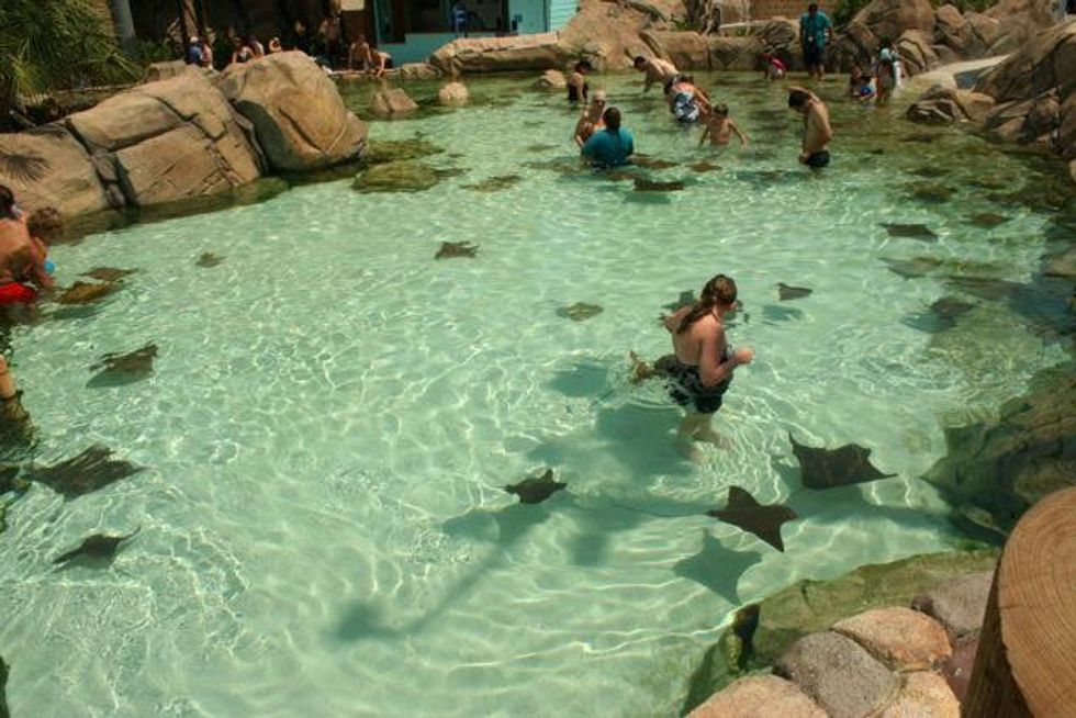 Austin Photo Set: News_Robyn_sea world_june 2012_3