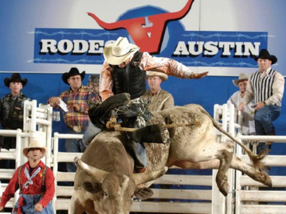 Austin Photo Set: News_shannon_what to do march 2013_austin rodeo