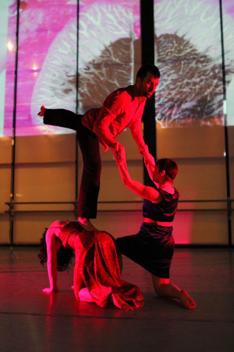 Austin Photo Set: News_WeekendRoundup_Interior Landscape_Aleks_Mar 2013