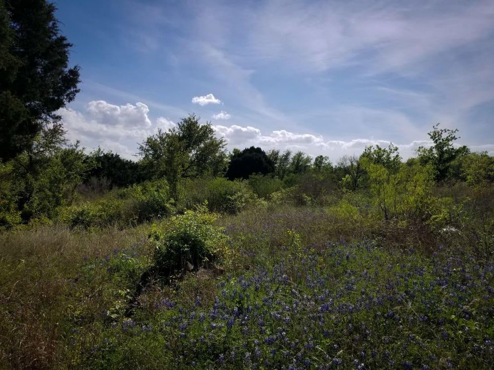 Austin Playhouse land Anderson Lane