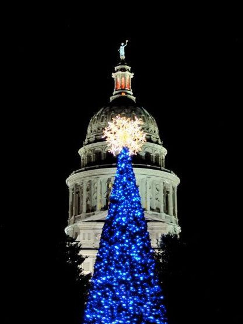 Austin Texas Capitol Christmas Tree