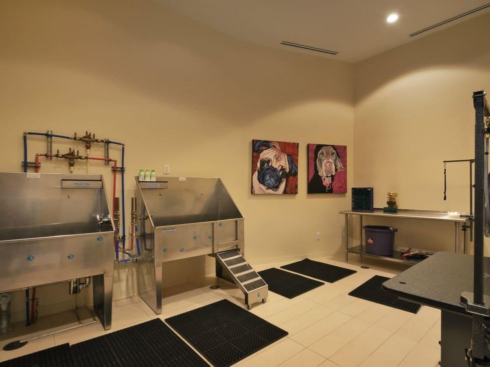 Austonian 33FF dog wash