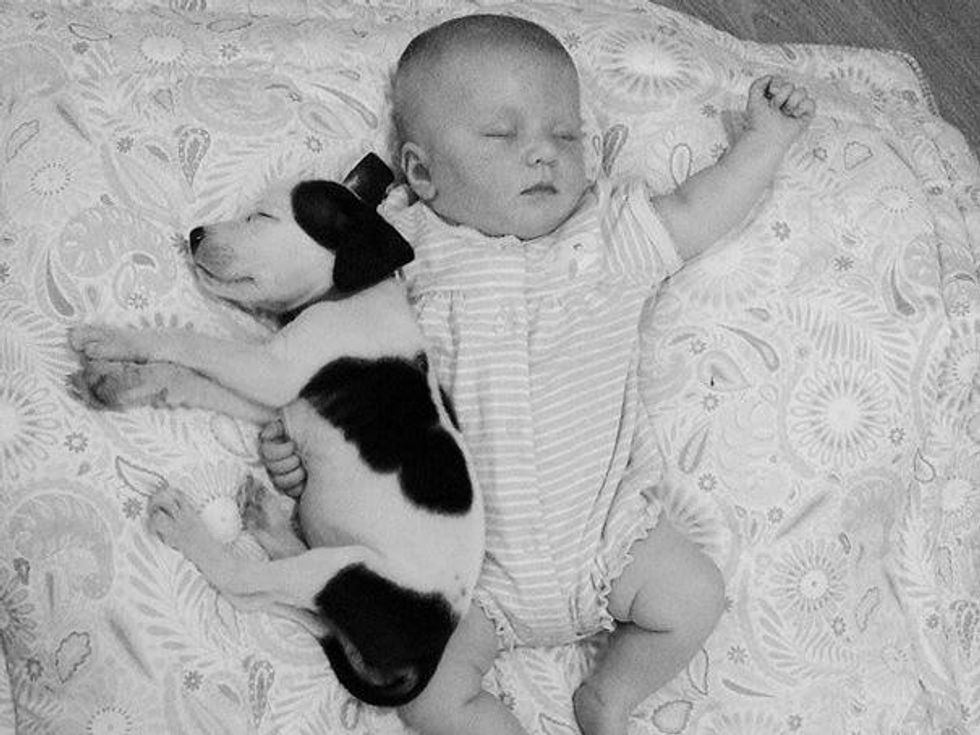 Baby naps with puppy