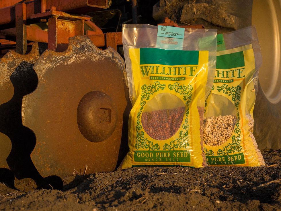 Bags of Wilhite Seed Company seed