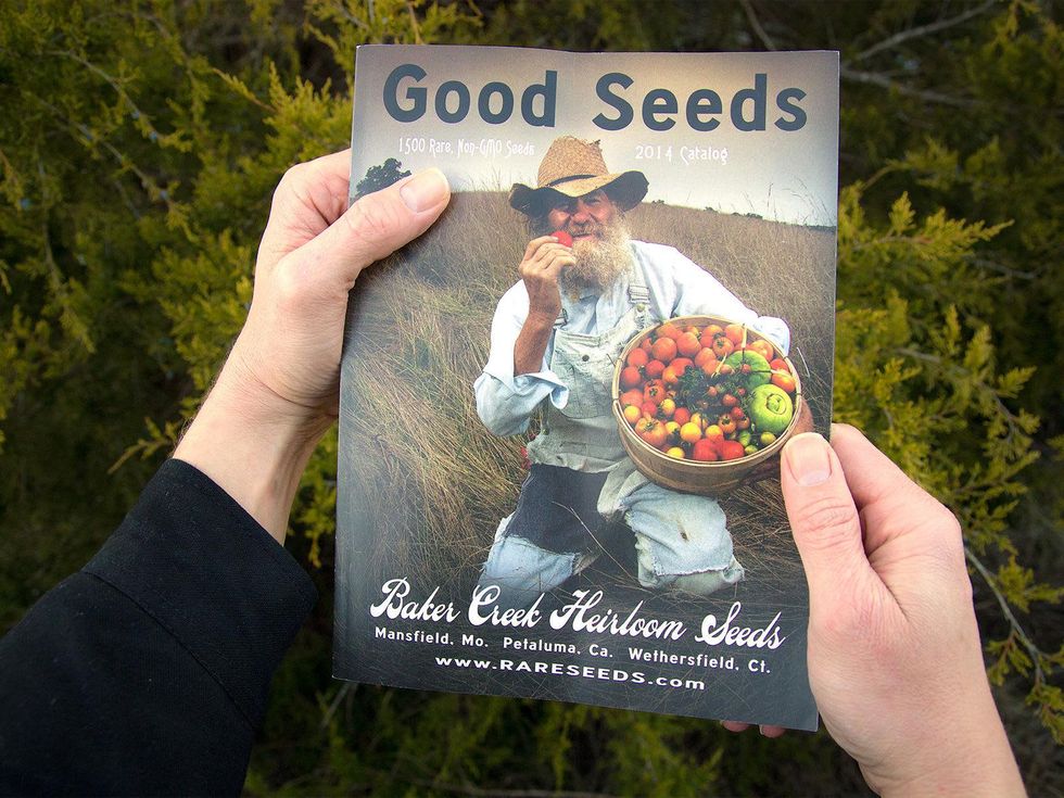 Baker Creek Heirloom Seed 2014 catalog