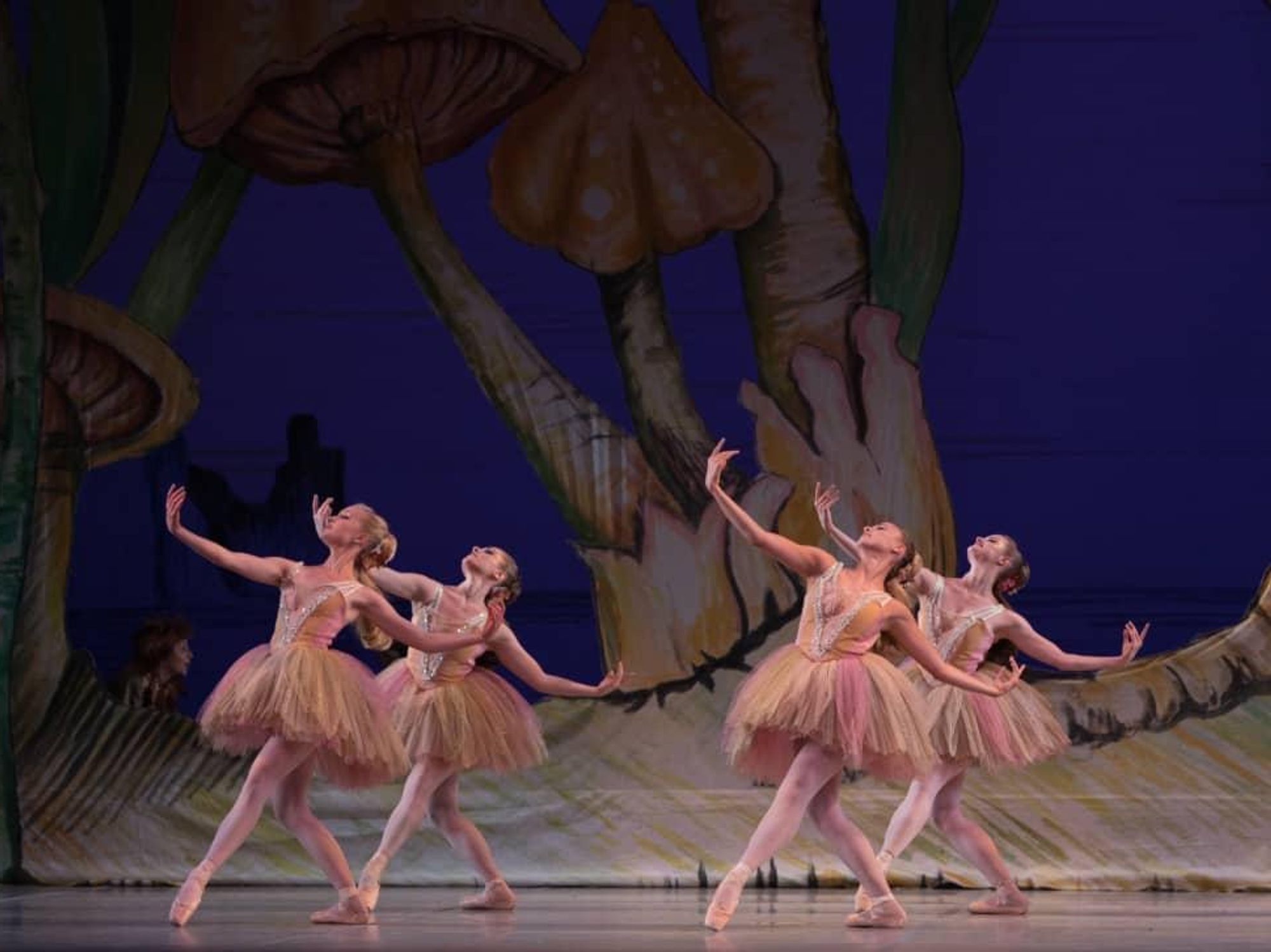 ballet Austin ballerinas