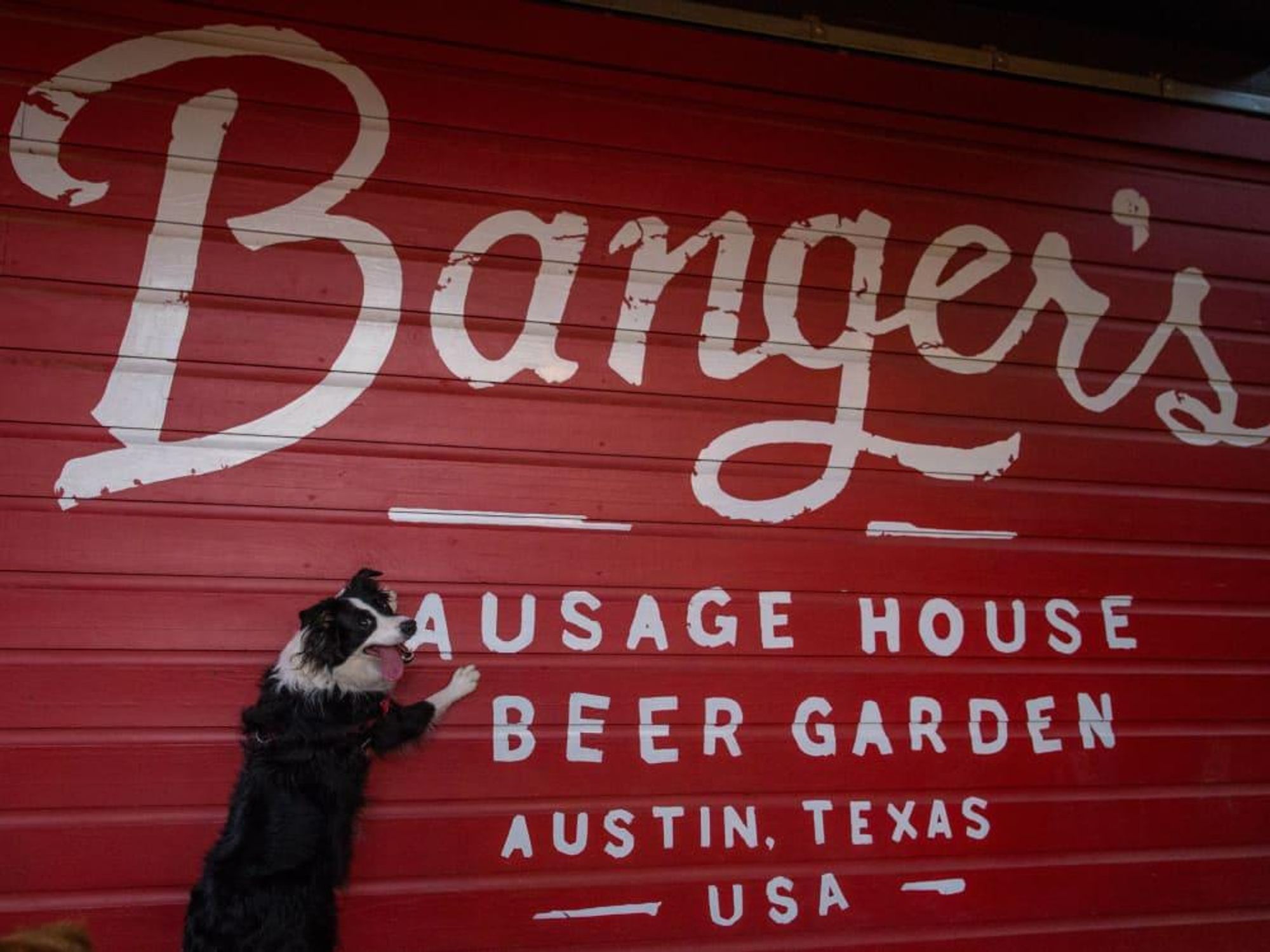 Banger's Sausage House & Beer Garden dog