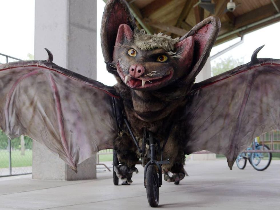 Bat Bike Austin Bike Zoo