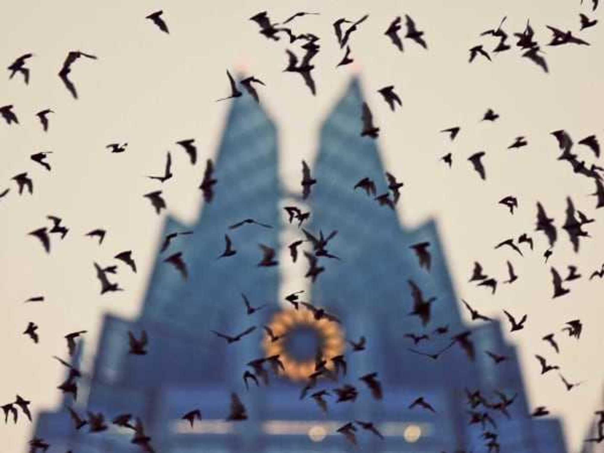 Bat City