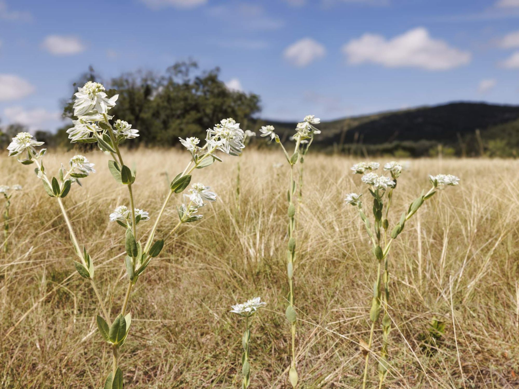 Bear Creek State Park