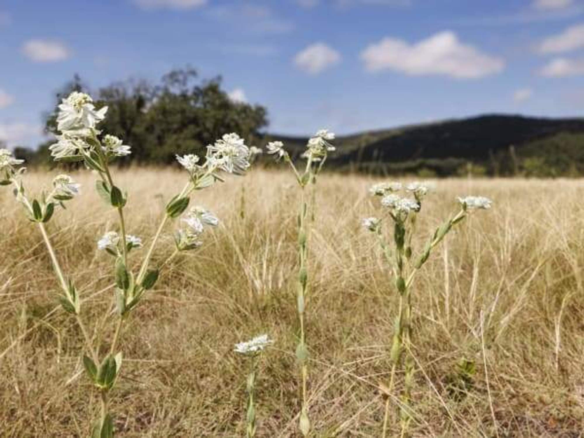 Bear Creek State Park