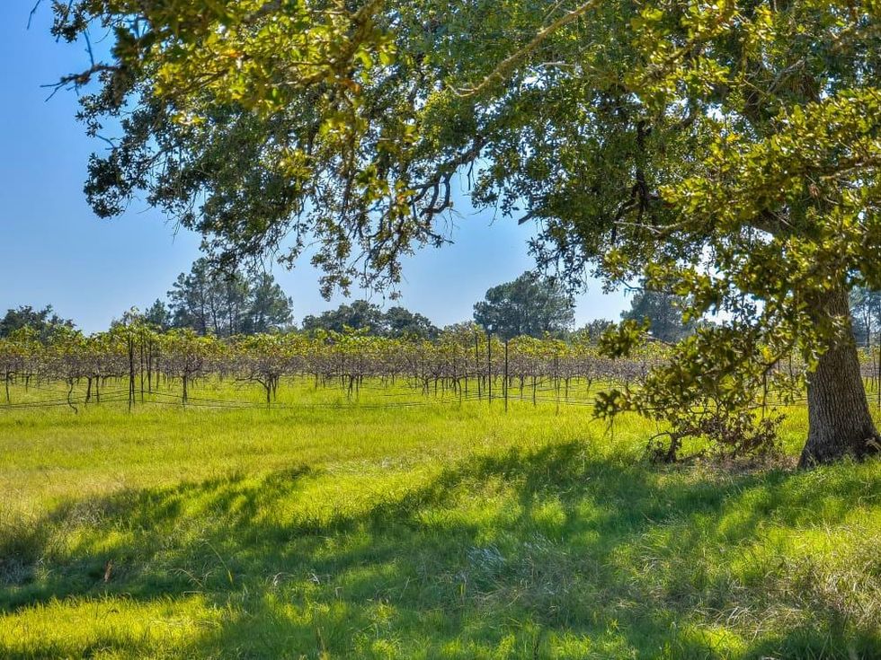 Bell Mountain Winery for sale Willow City