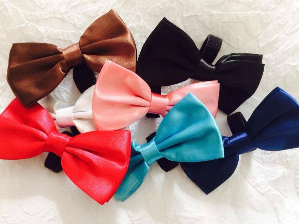 Bentley's Bows and Wise Guy Ties_dog collar_Facebook