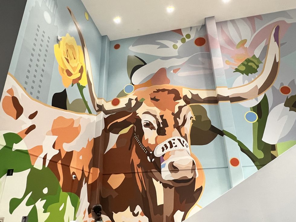 Bevo Art at Moody Center