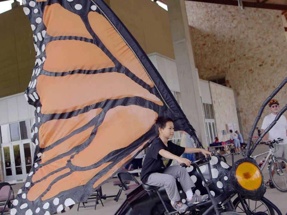 Bike zoo butterfly bicycle