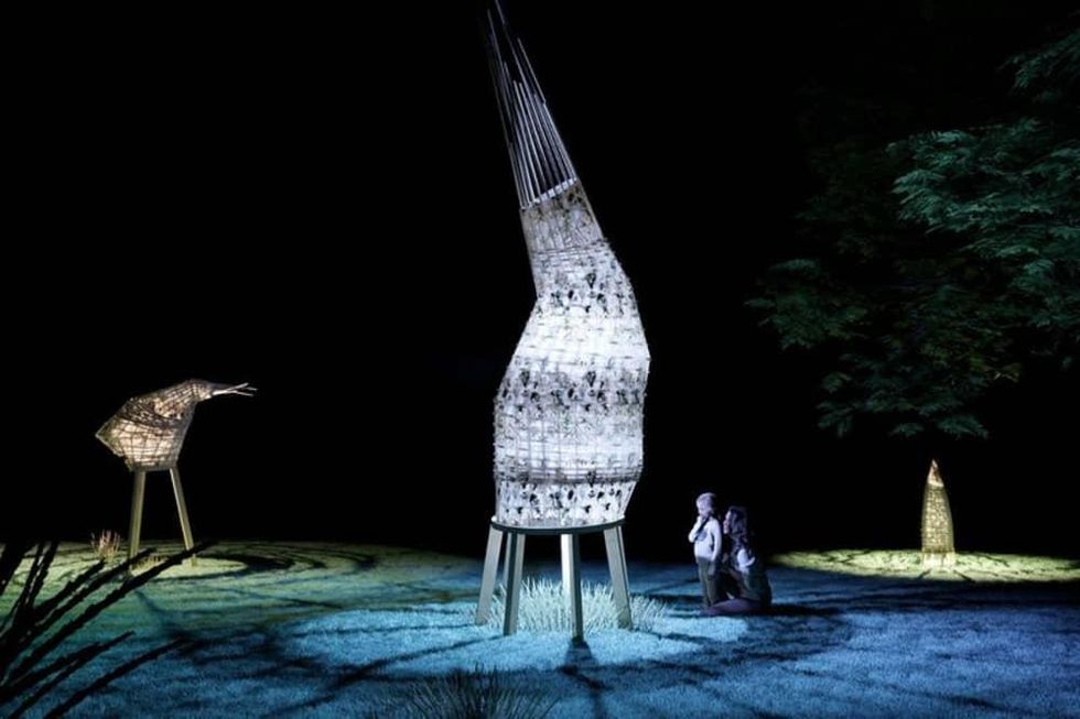 "BioNest" Creek Show 2021