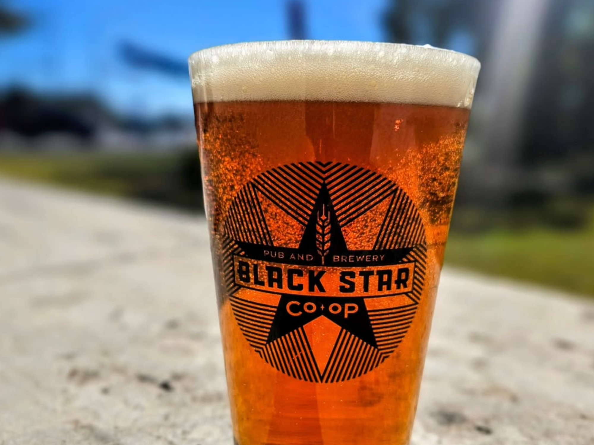 Black Star Co-op beer