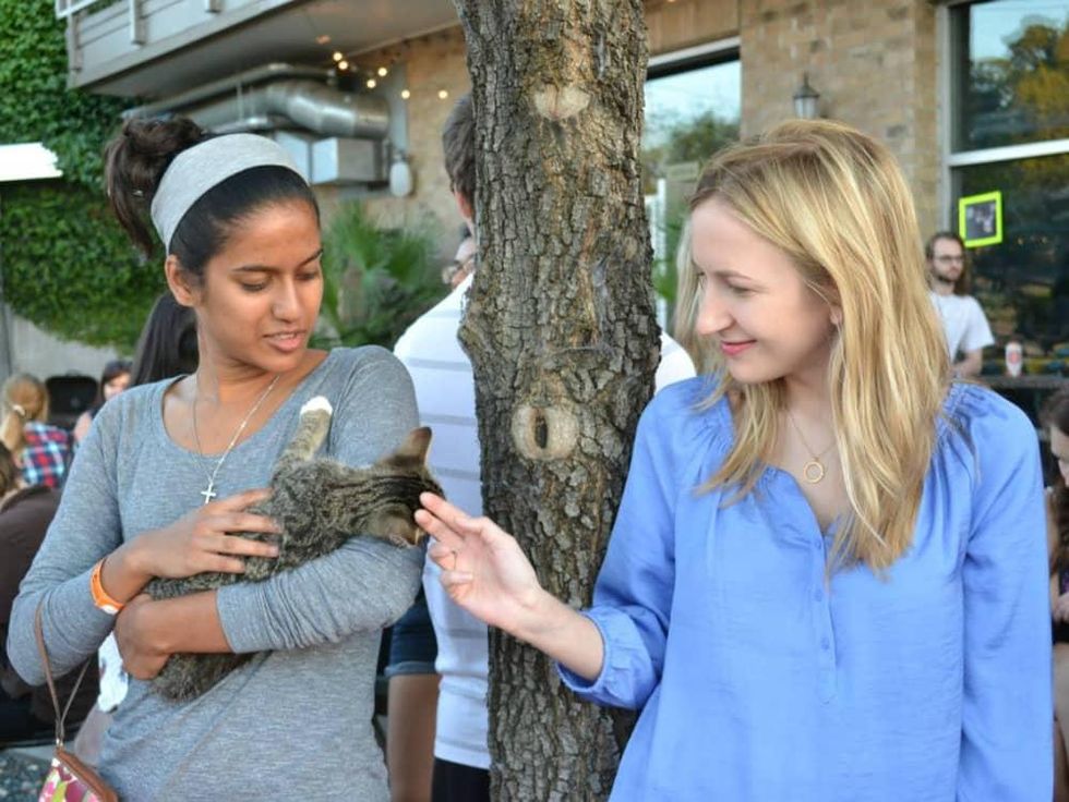 Blue Cat Cafe Austin Kitty Limits event 2015