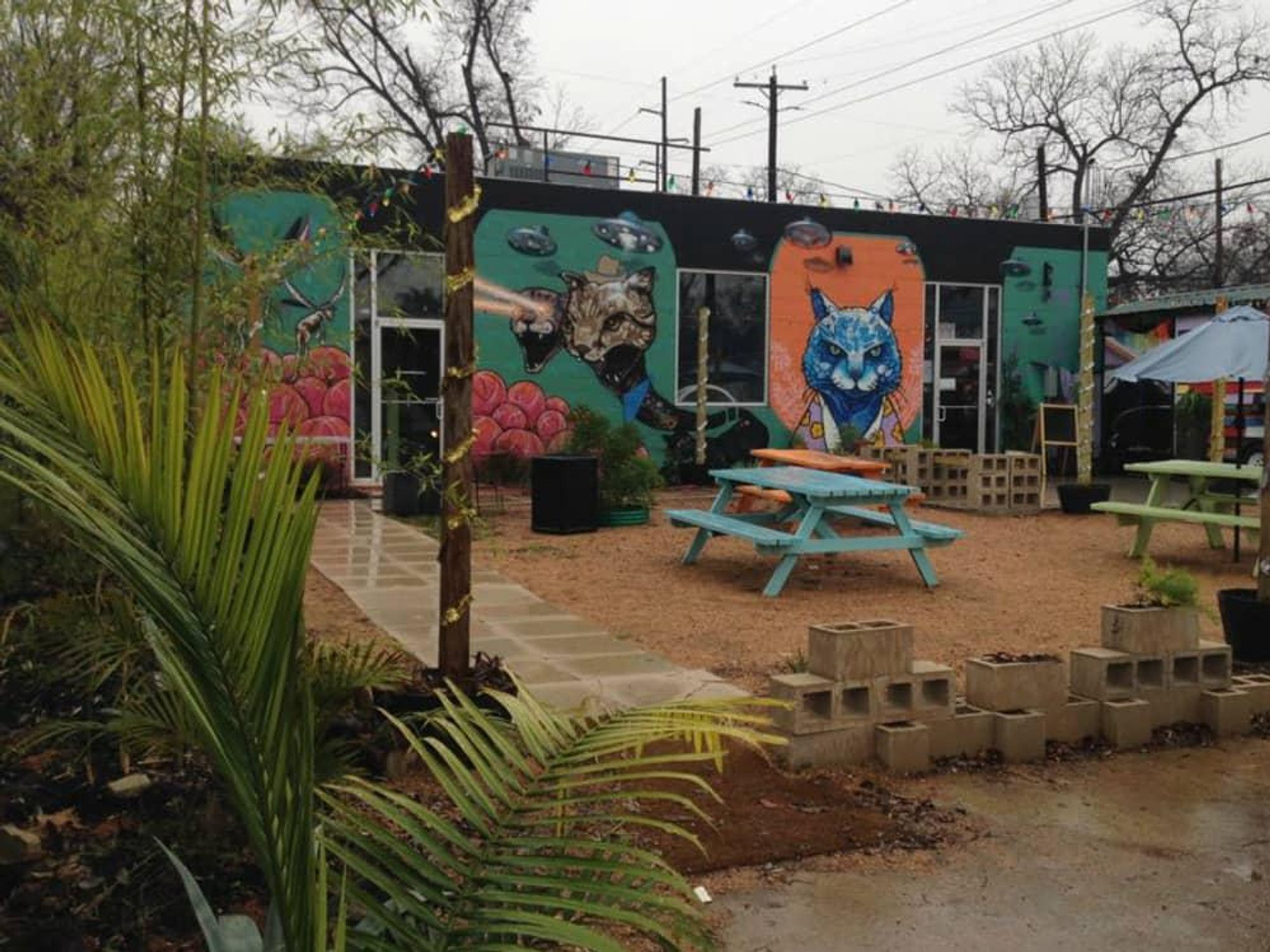 Blue Cat Cafe exterior mural