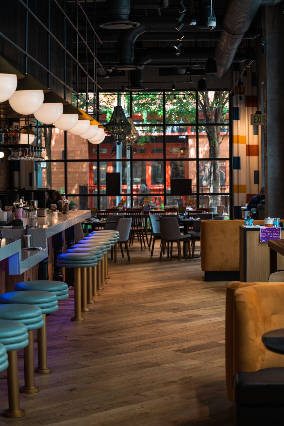 Blue Lacy at Origin Hotel