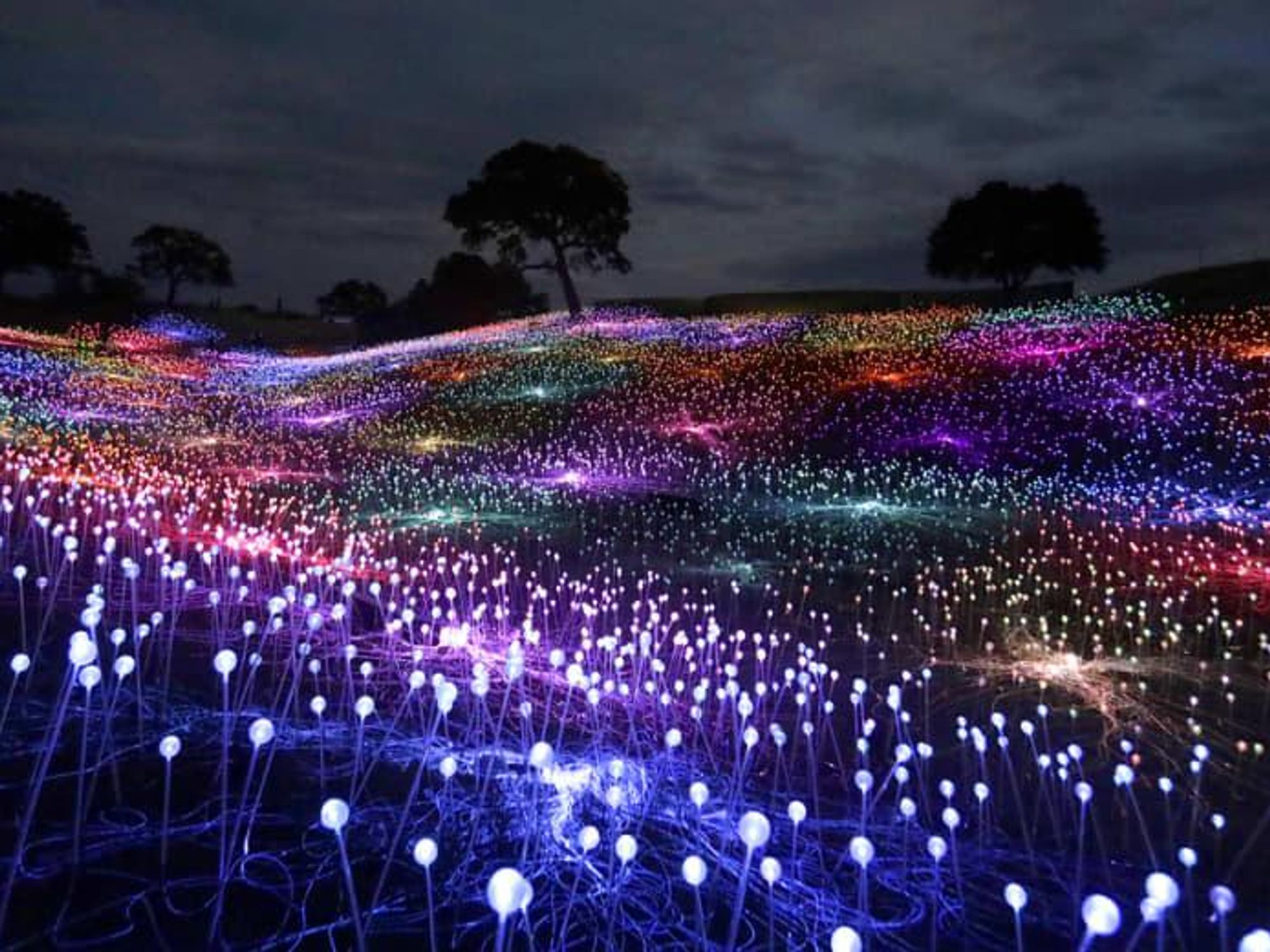 Bruce Munro, Field of Light