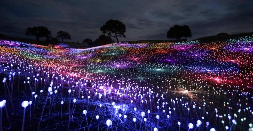 Bruce Munro, Field of Light