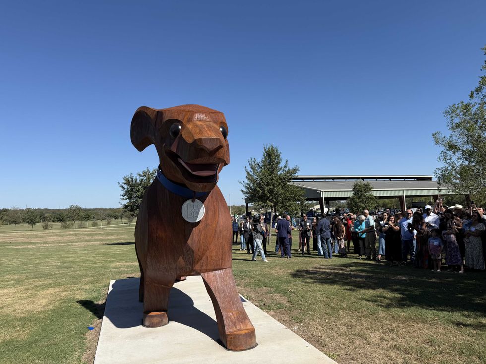 Buda Wiener Dog Dachshund statue