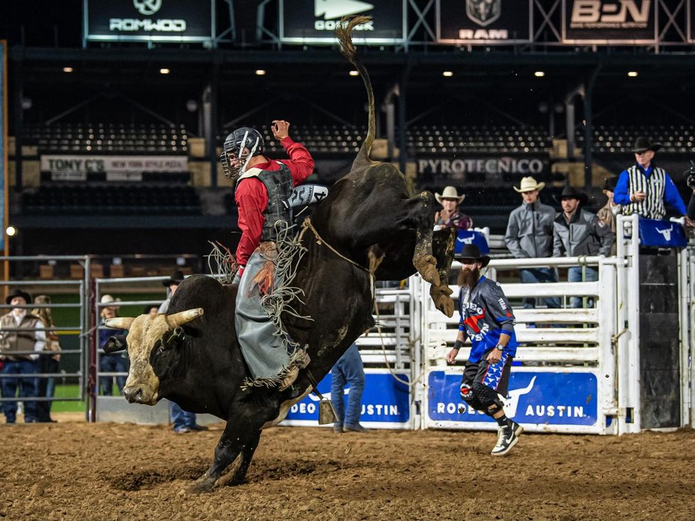 Bulls in the Ballpark
