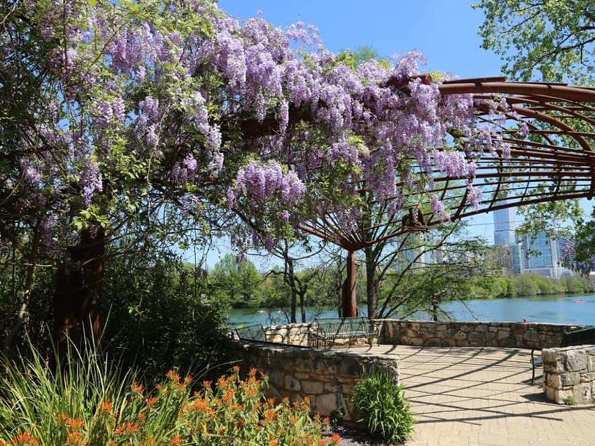 Butler Hike and Bike trail colorful flowers
