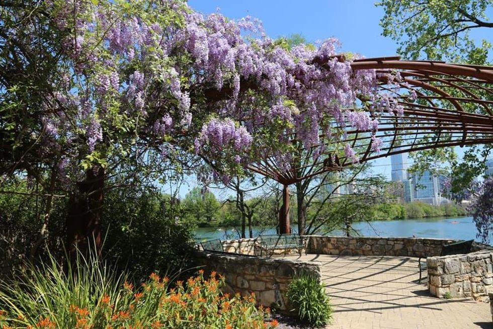 Butler Hike and Bike trail colorful flowers