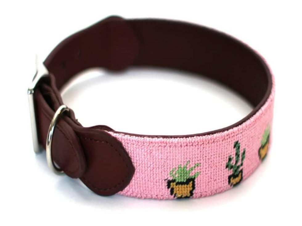 Cacti Dog Collar The Distillery Market