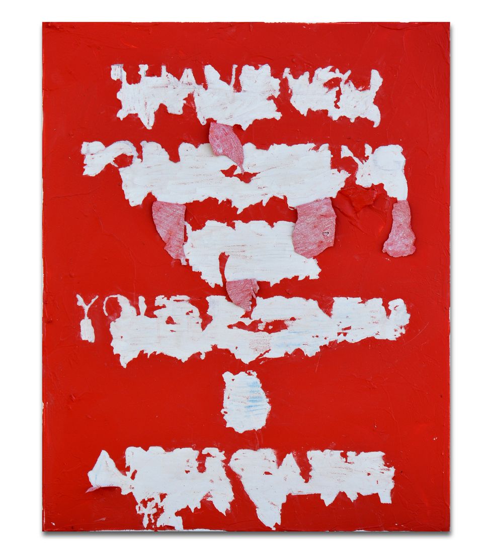 Cande Aguilar | Seagulls don\u2019t sound like pigeons