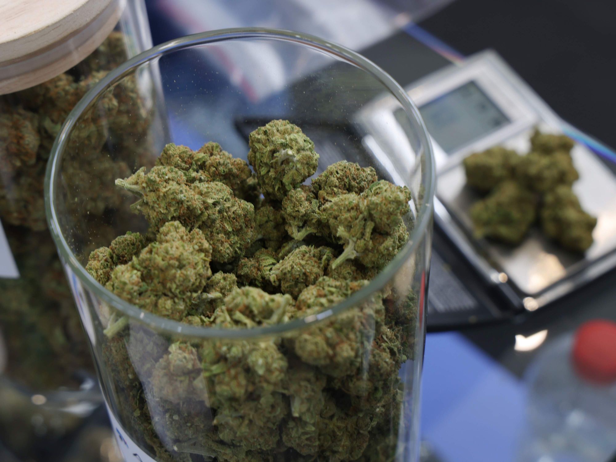 Cannabis buds on display in Berlin