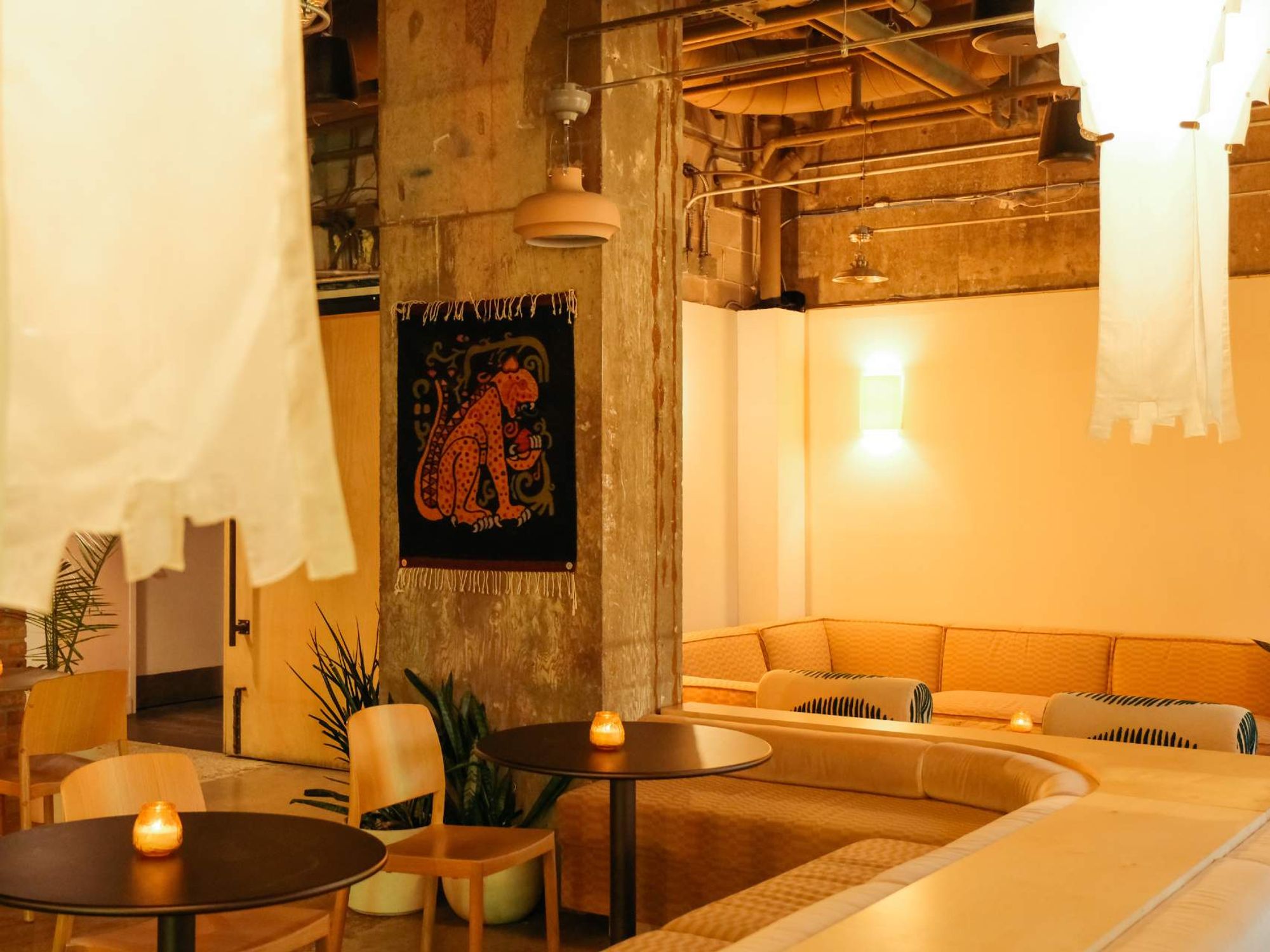 Cantero Austin interior