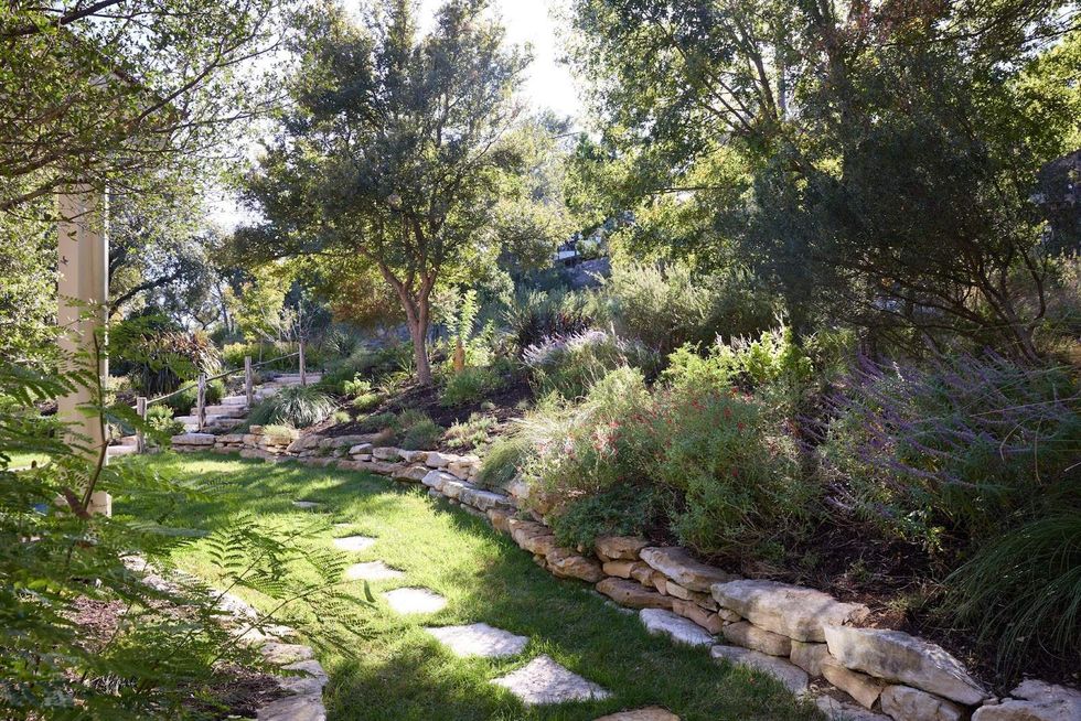 Canyon Vista gardens