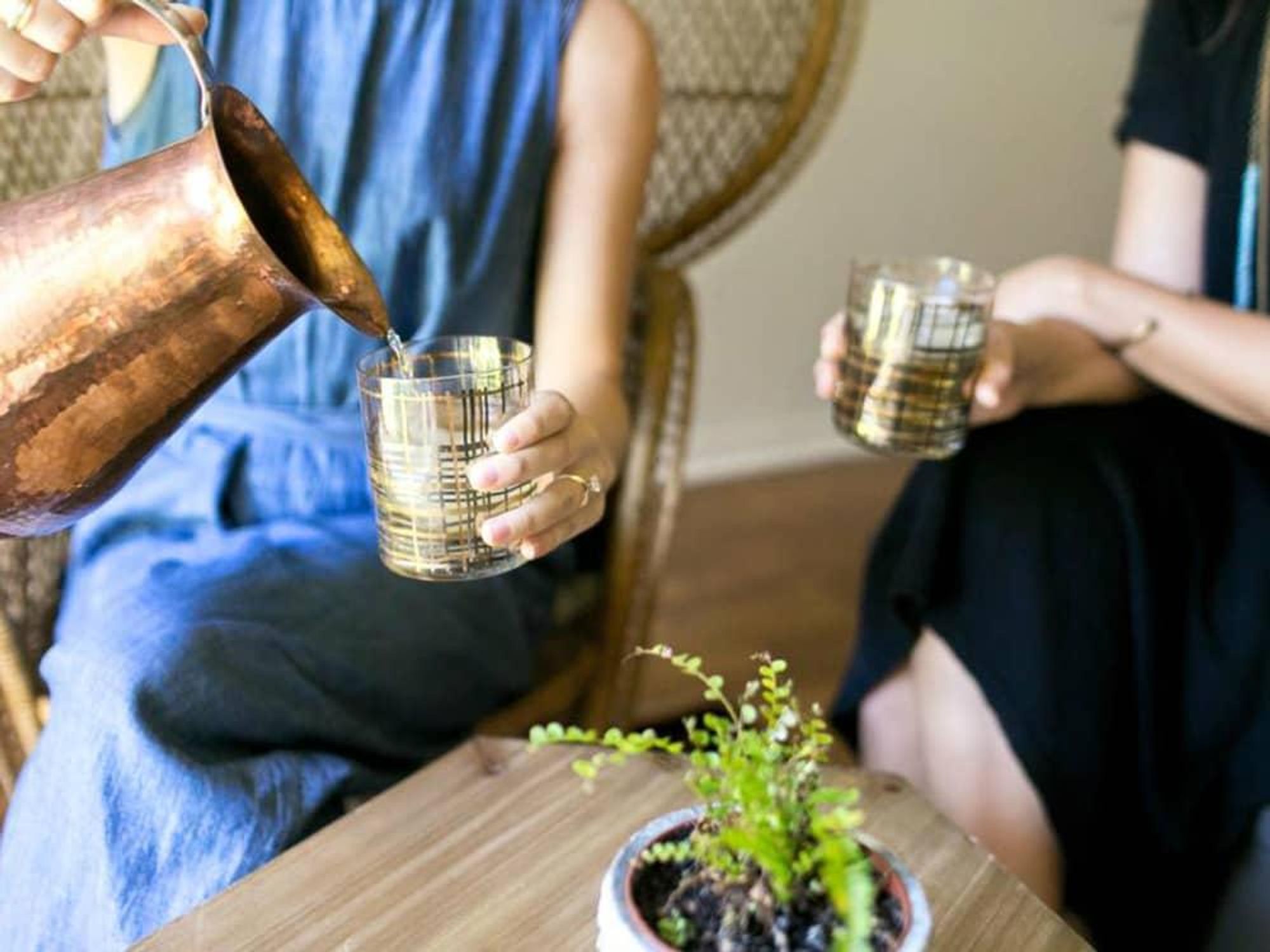 Cat Spring Tea yaupon drinks glasses pitcher pour