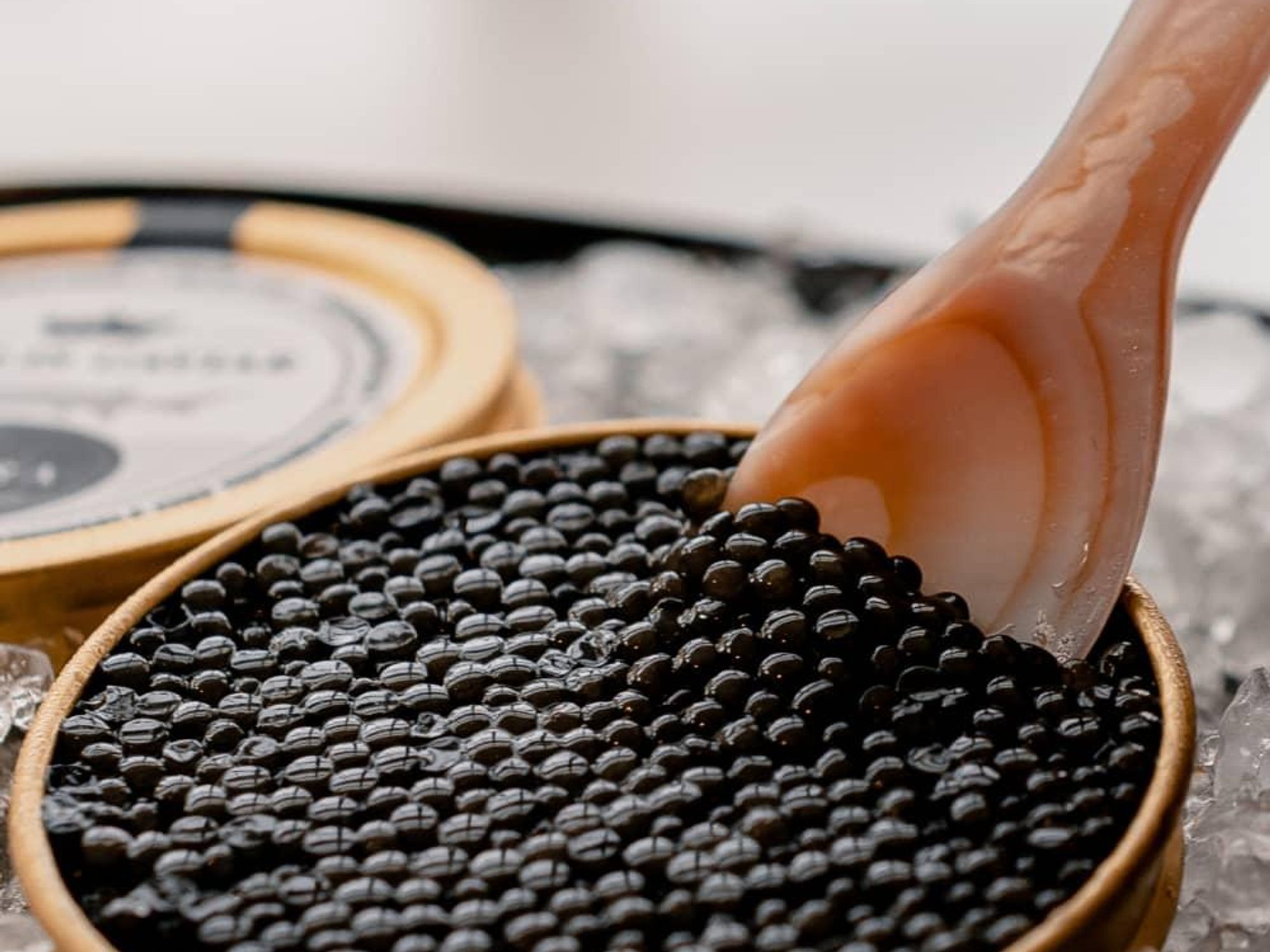 Caviar Fairmont Room 725