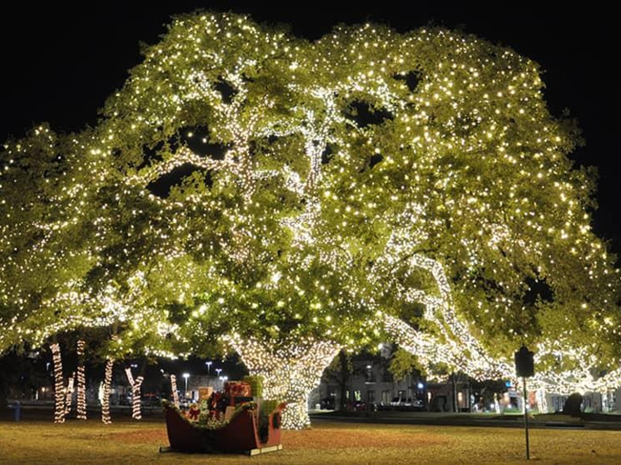 Cedar Park Christmas Lights