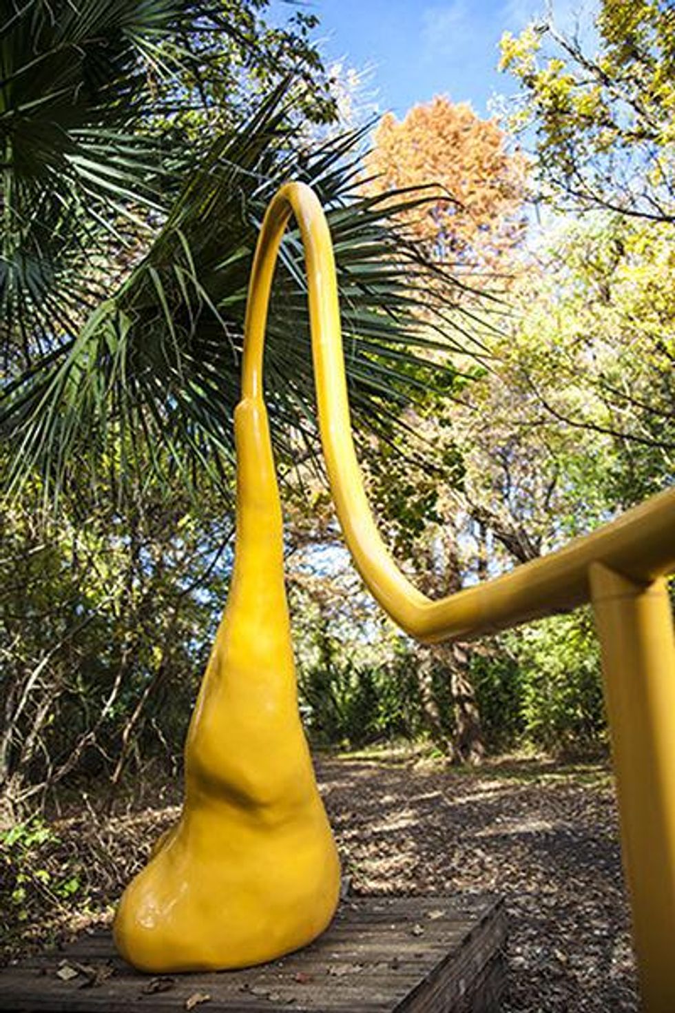 Charles Long Laguna Gloria