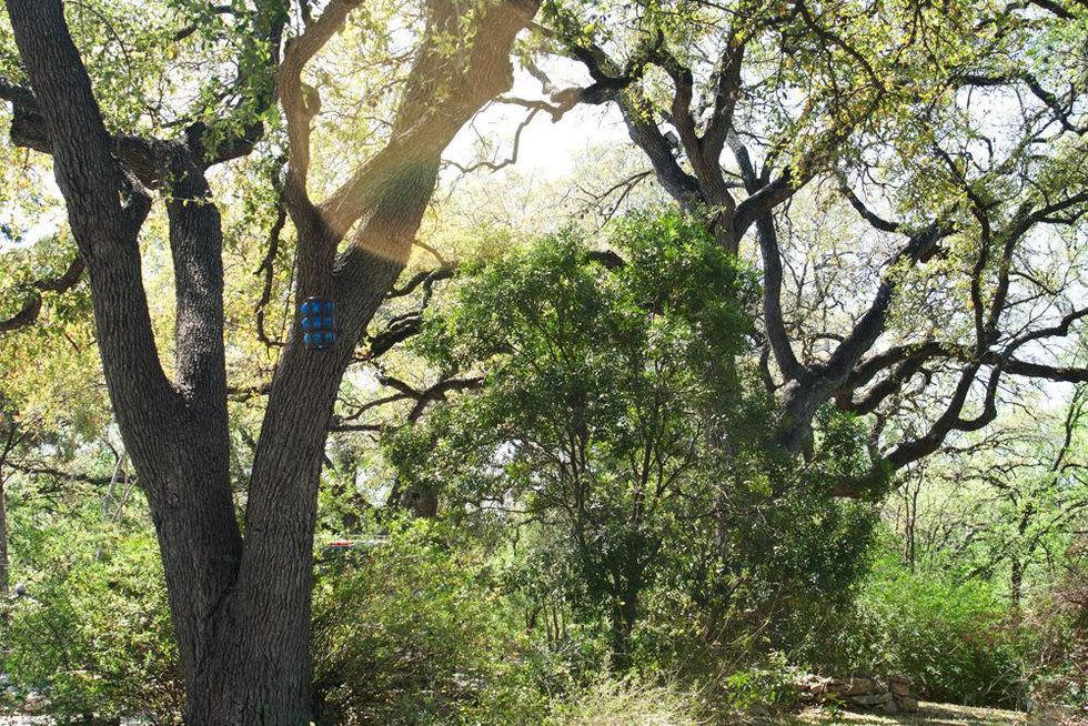 Charles Umlauf's house