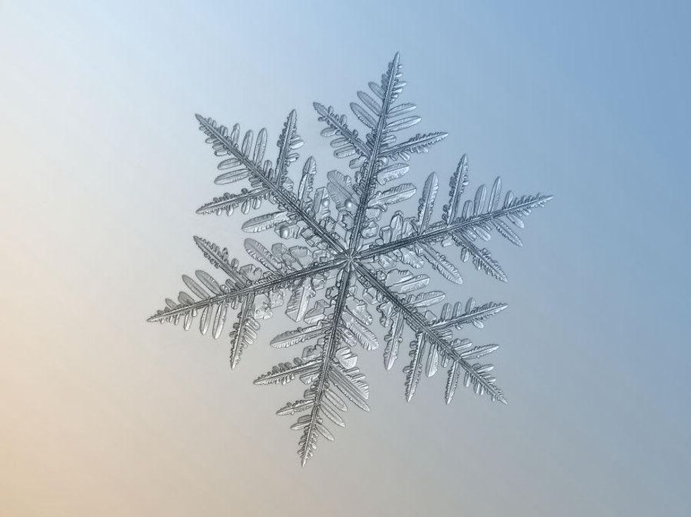 Close up image of snowflake