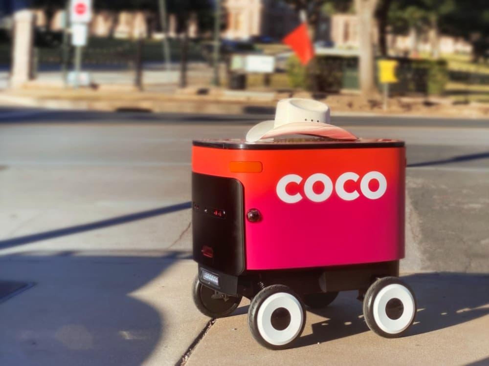 Coco robot landscape