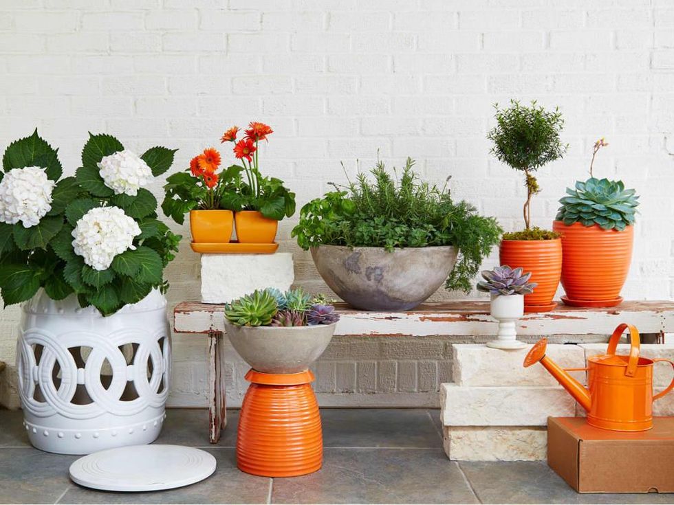 Container collection from Gardenuity