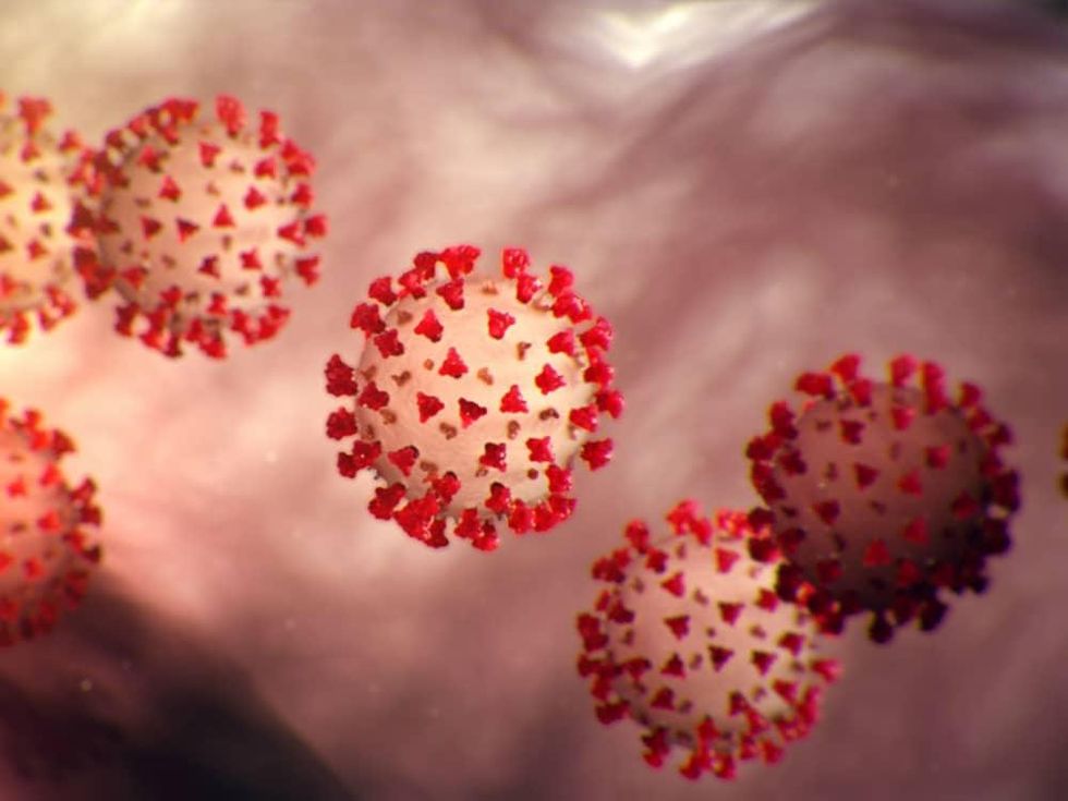 Coronavirus COVID-19