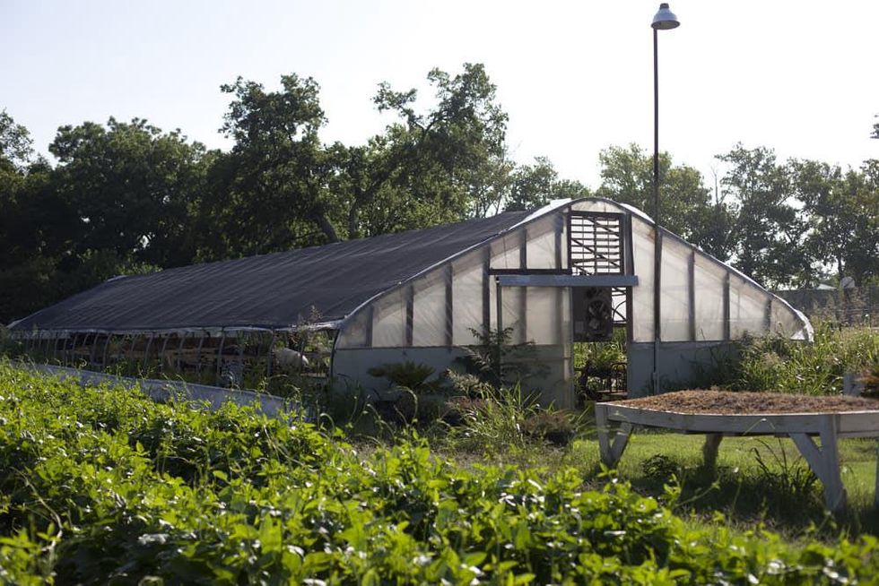 creative mornings springdale farms